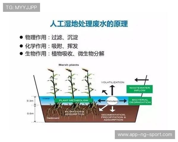 从零开始打造篮球团队协作的全面指南与实战技巧分享