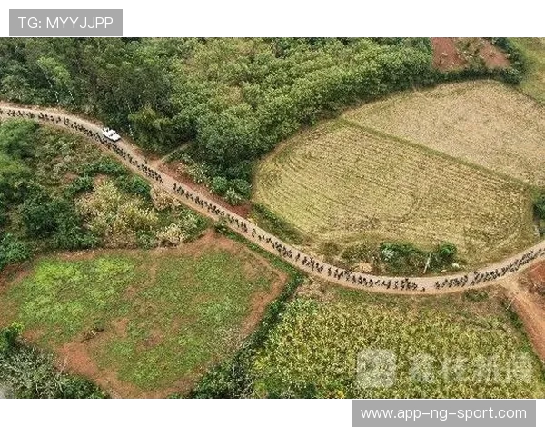 武汉极限运动队防守战术深度分析与实战应用探讨